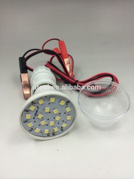 New successful development 12v dc led light bulb