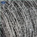 BWG16 500m Galvanized Barbed Wire Alambre de PUA