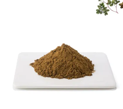 Best grade lions mane capsules mushroom lion mane