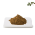 High quality 95% Saponins Tribulus Terrestris Extract Powder