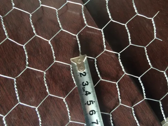Electro Galvanized Hexagonal Wire Mesh