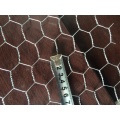 PVC recubierto de malla de alambre Hexagonal galvanizado