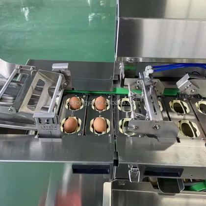 Egg Yolk and Egg Liquid Separating Machine