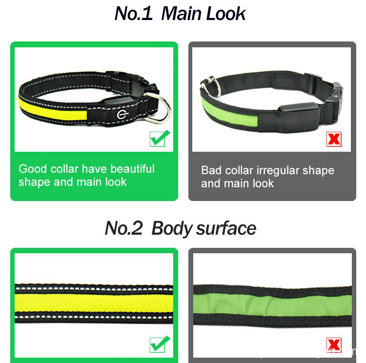 Night Dog Collar