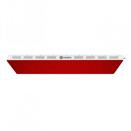 2020 Newest Dual Chip Led Red Light Therapy