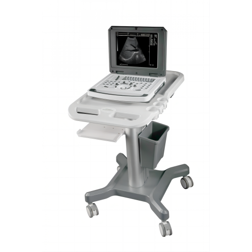 Notebook Black &white Ultrasound scanner machine in medical