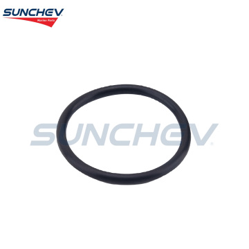 Sunchev O-Ring 554545 per Johnson 18-35 CV