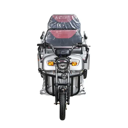 Affordable Adult Motorized Tricycles and Scooters