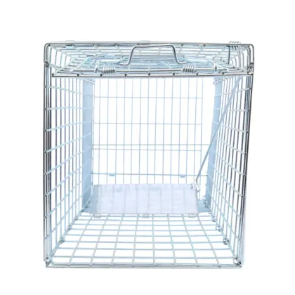 Live Bird Trap - Defenders Bird Cage Trap