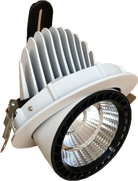 Luz del tronco del LED 20W en negro