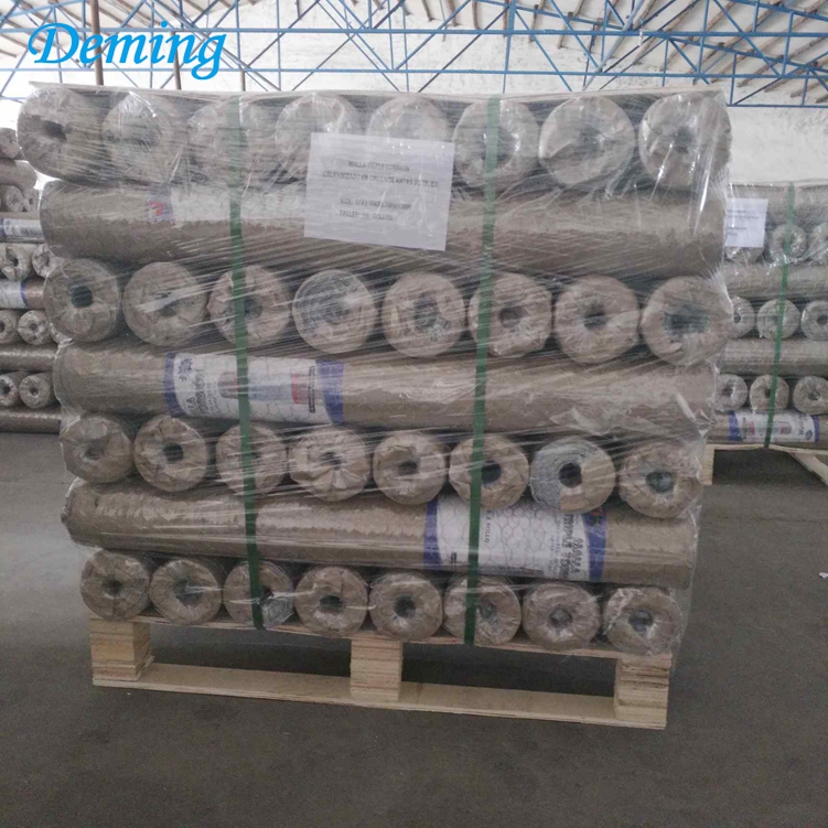 Factory Hot Dip Galvanized Coated Hexagonal Wire Mesh for Sale