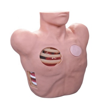 Advanced PVC Medical Manikin for Thorax Puncture Drainage Training - SC-L66