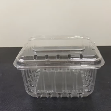 Embalagem de mirtilo em cápsulas de plástico em forma de bolha