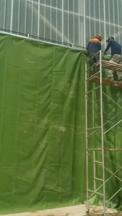 Automatic door curtains