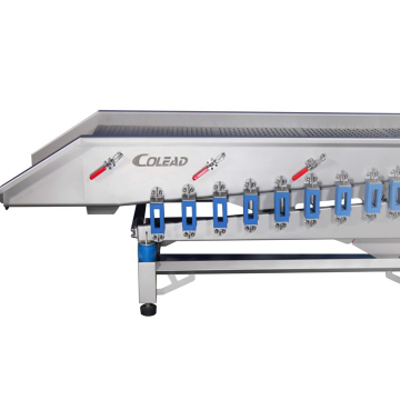 Vibration Drain Conveyor for vegetable processing