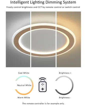 Pop Promotional Acrylic Ceiling Light Fitting - LED Ceiling Mount Lighting