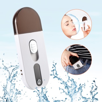 Mini Facial Sprayer Deep Hydrating 30ML Nano Face Stream Spray Moisture Tester Ultrasonic Mist Fogger Humidifier Skin Analyzer