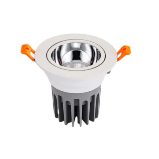 30W AC220-240V LED Spotlight COB Anti-Glare Home/Hotel Ceiling Lamp