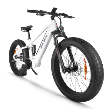 Hot Sale 48V 1000W Electric Mountain Bike with Torque Sensor and Long Range