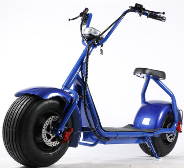2019 New Arrival 800w Citycoco Electric Scooter XWZ-H001