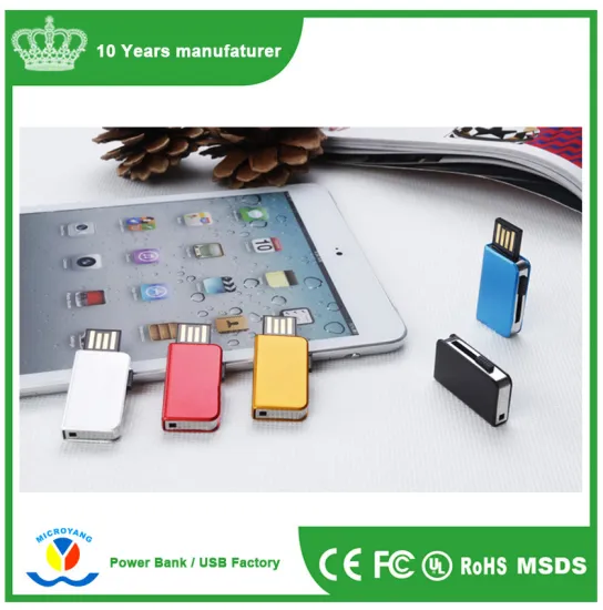 mini USB flash drive,accept paypal