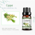 Óleo corporal 10 ml Óleo natural 100 % puro Cajeput Oil essencial