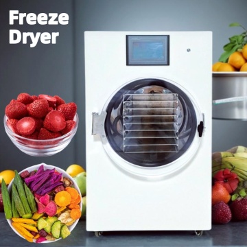 UK Commercial Mini Freezer Lyophilizer: Food Freeze Dryer for Fruits and Vegetables