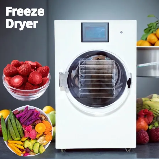 UK Commercial Mini Freezer Lyophilizer: Food Freeze Dryer for Fruits and Vegetables