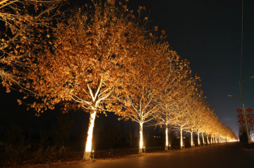 IP66 Outdoor Lawn Light