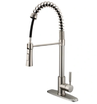 Pull out Kitchen Water Tap