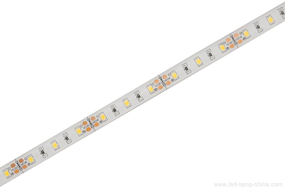 SMD2835 60 LEDs/M IP65 PU waterproof strip