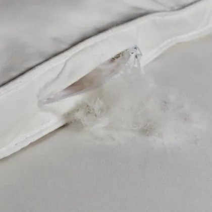Duvet Insert with Down feather