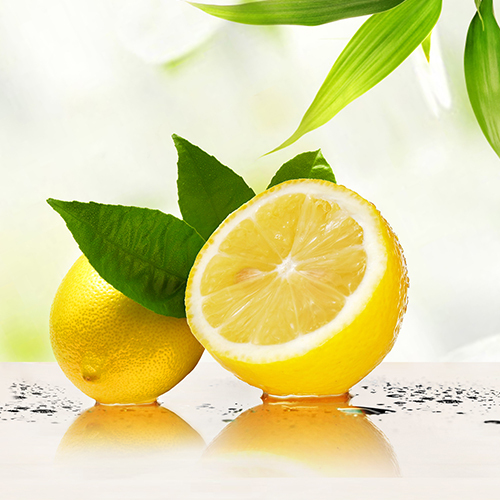 Yeni mahsul taze limon meyve toptan Price