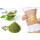 Bulk Price Natural Organic Moringa Leaf Powder