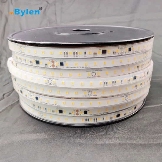 CCT Dual Dimming High CRI IP67 Waterproof LED Strip Light 220V 25mm Cutting 50M 10W
