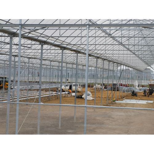 Sawtooth Shaped Film Farm Shelter