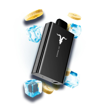 IGNITE V80 8000 Puffs Vape Wholesale USA Online