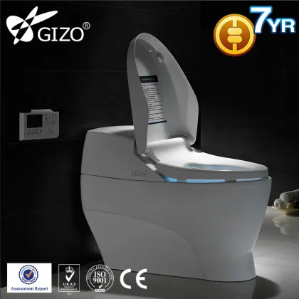 Sanitary Ware ceramic WC Smart Toilet