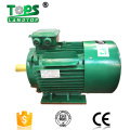 1HP 2HP 3 Phase Motors for Sale