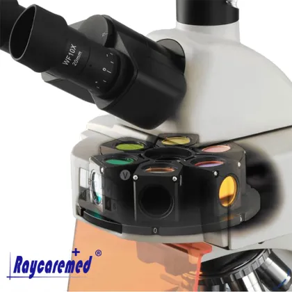 BK5000 Laboratory Biological Microscope