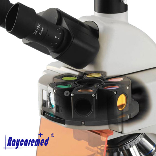 Microscópio biológico do laboratório BK5000