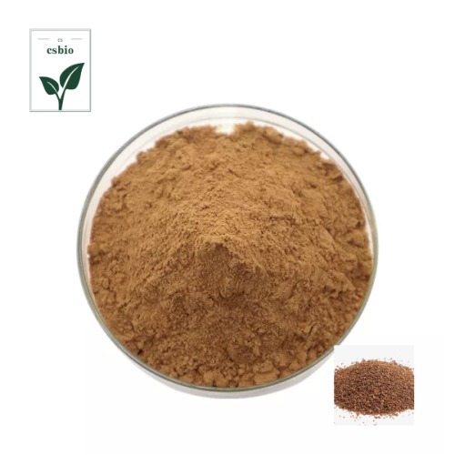 Supply Water Soluble Dodder Seed Extract Powder