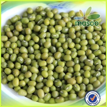 2014 crop Green Mung Beans, Vigna radiata, Bulk Mung Beans