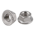 Kacang baja tahan karat Hex Flange Nut