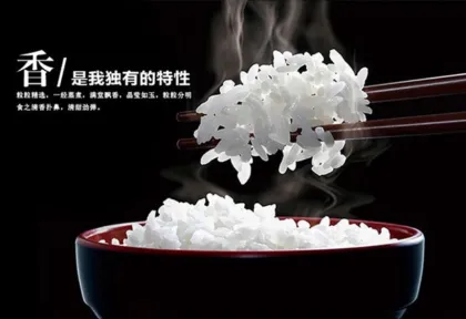 5% broken long grain basmati rice export