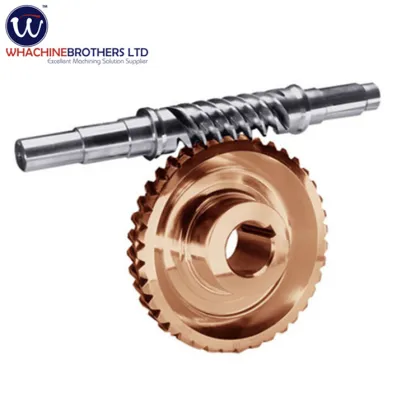 China OEM Transmission Drive CNC Machining Worm Gears Rotary
