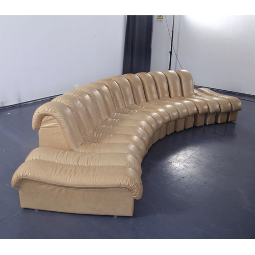 DS-600 Leather Modular Sofa