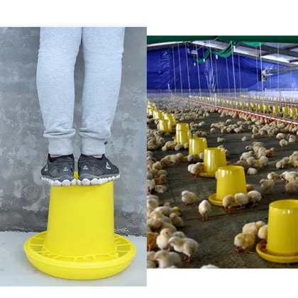 Factory Price Automatic Duck and Goose Feeder for Poultry Farms