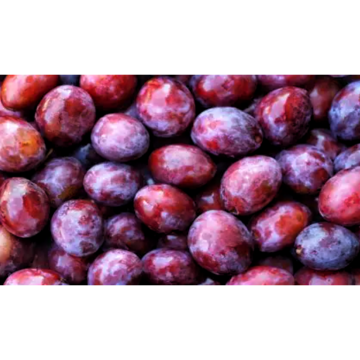Prunus salicina Lindl.Extract