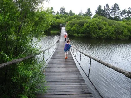 Rainbow bridge landscape bridge suspension bridge decorations wood grain board